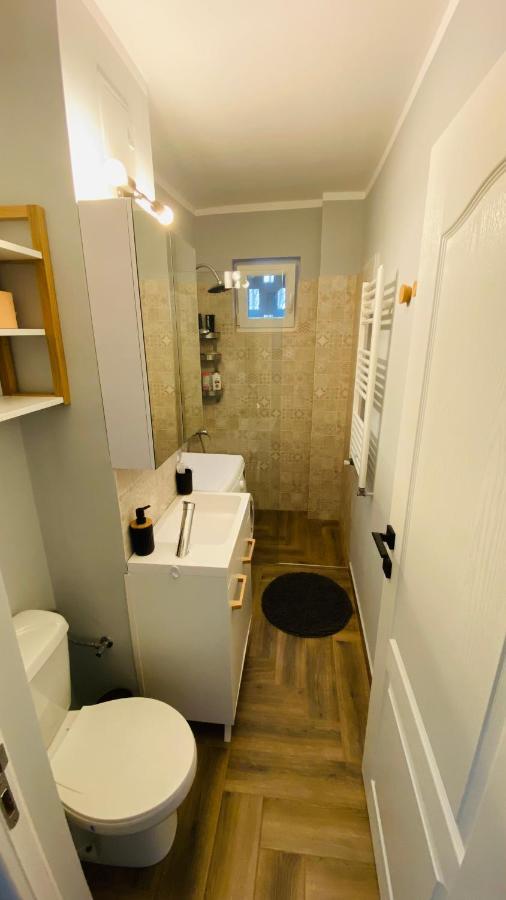 Dacia Apartment Тімішоара Екстер'єр фото